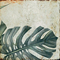 TR3333 Tropic 33х33 Serapool