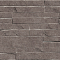 TWU2550DCV24 Discover рельефная 249x500x8 Alma Ceramica (Уралкерамика)