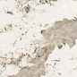 Forest Glossy 60х120 LV Granito