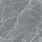 R_PR1019 Carnico Grey Polished 60x60 Royce