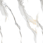Staturio Oro Glossy 60x120 Modern Tile