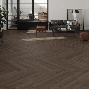 Dexter STN Ceramica