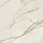 AGCJ Golden White Luc 120x278 Caesar фото в миниатюре