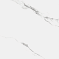 R_PR1004 Carrara Marmo Polished 60x60 Royce
