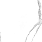 GT120601503PR Anima Белый полированный 60x120 Global Tile