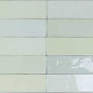 122105 Safi Mint 5,2х16 DNA Tiles