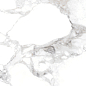 31001 HAUTE WHITE SP/60X120/R Peronda