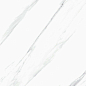 Vanglih Pulido 60x120 Baldocer фото в миниатюре 6