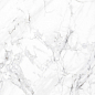 NR0302 Calacatta M серый светлый 1200х600х9,5 ProGRES Ceramica