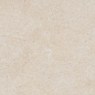 DAL63801 LIMESTONE 60x60 RAKO