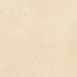 WT9PET11 Petra Beige 24.9х50 AltaCera
