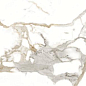 Medici Gold Pulido 80x160 Benadresa