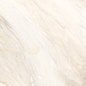 60120CAA01 Carolina Crema Sugar 600x1200x9.5 Delacora