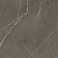 PF60006313 Stone Grey Lux R 60x120 ABK фото в миниатюре 8