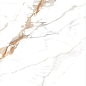 Delhi Polished Gold Carving 60x120 Realistik