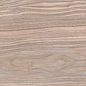 WD11 Forest Gold terra 20x80 PrimaVera