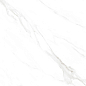 Classic Coral 60x120 SotGres