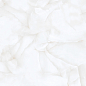 Brais White Carving 60x120 Realistik