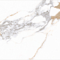 Medici Gold Natural 60x120 Benadresa