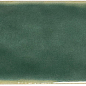 135389 CB O Basil Gloss 5x15 WOW