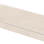 DCF84743 Rebel Beige 40x80 RAKO