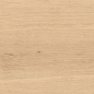 AX4B Log Bright Oak Forest Outdoor 20mm 30x120 Atlas Concorde