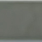 ADST1022 LISO EUCALYPTUS 9.8X19.8 Adex