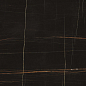 LU628364 Sahara Noir Lucido 8mm 60x120 IRIS FMG