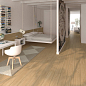 World Woods VIVES
