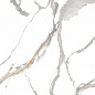 Lioz Statuario Polished 60x120 Realistik