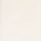 136306 Calema White Matt 5,2х16 DNA Tiles