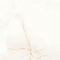 Elite Onyx Polished 60x60 A-Ceramica