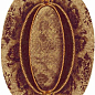Ins. Cobre 10x14 Rocersa
