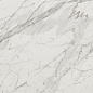 AVGC Marvel Statuario Select 60x60 Atlas Concorde