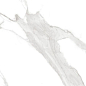 N20474 Statuario Irish Grey Polished 60x120 Neodom