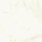 A4TT Marvel Calacatta Delicato Silk 50x120 Atlas Concorde