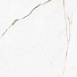 00-00000245 Calcatta Montreal Polish 60х120 BELLEZA