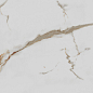 R_PR1003 Calacatta Gold Polished 60x60 Royce