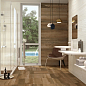 1200 Porcelanite Dos