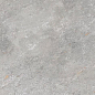 100202111 Image Silver 40x80 Porcelanosa