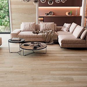 6611 Porcelanite Dos