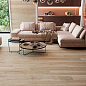 6611 Porcelanite Dos
