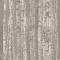 A0LW Boost Pro Grove 120x278 Atlas Concorde
