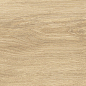 41726 Bloom Honey SP/24x151x0,9/R 24x151 Peronda