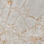 PR212 Golden Grey High glossy 600x1200 PrimaVera