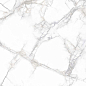 PR114 Arena White Polished 600x600 PrimaVera