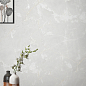 White Onyx AVS