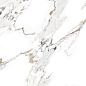 AB1202G Aspire Gold Gloss 600x600 Absolut Gres