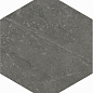 121971 Pietra Graphite 14x16 DNA Tiles фото в миниатюре 3