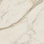 AGCJ Golden White Luc 120x278 Caesar фото в миниатюре 5
